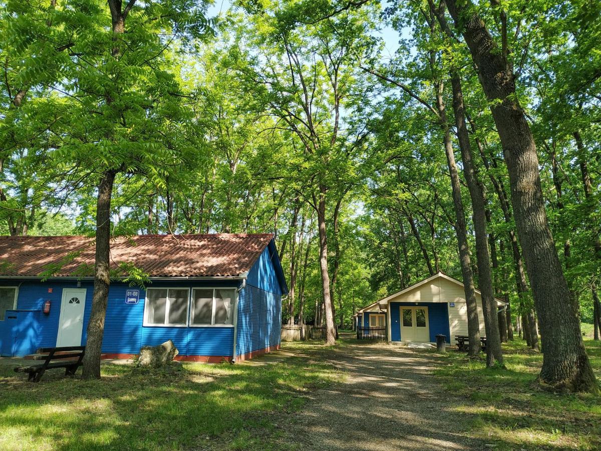 Dorcas Center&Camping Hotel Debrecen Exterior photo